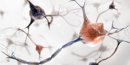 Czy możliwa jest regeneracja układu nerwowego?