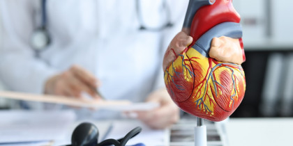 Wsparcie układu sercowo-naczyniowego - rola suplementacji