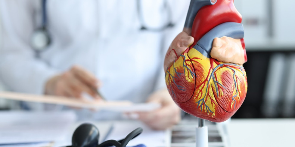 Wsparcie układu sercowo-naczyniowego - rola suplementacji