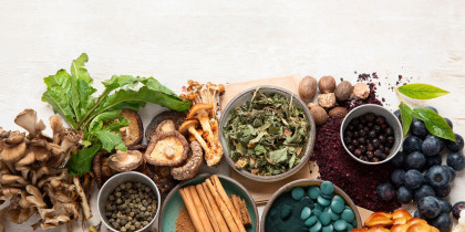 Adaptogeny - jak działają i czy warto je suplementować?