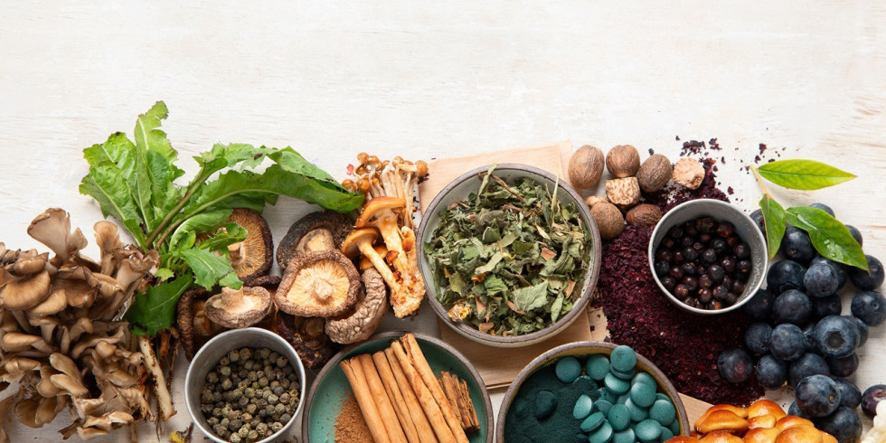 Adaptogeny - jak działają i czy warto je suplementować?
