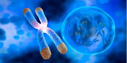 Suplementy a długość telomerów - nowy trend w biohackingu