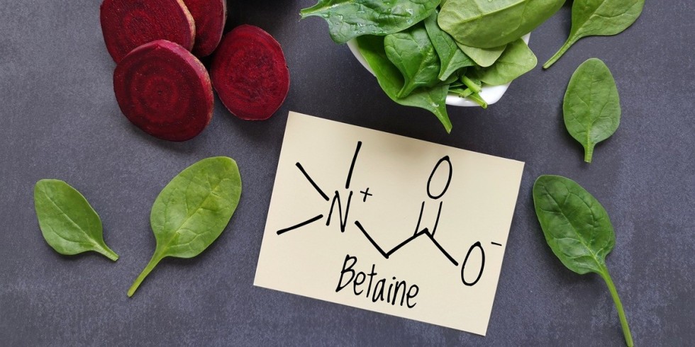 Betaina a wątroba – jak TMG wspiera regenerację i detoksykację?
